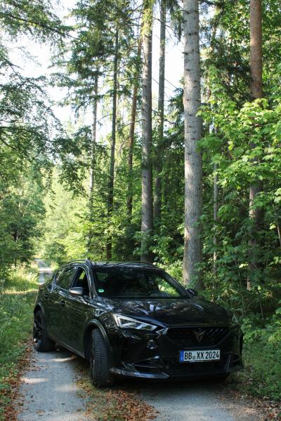 Cupra mit Wald im Hintergrund