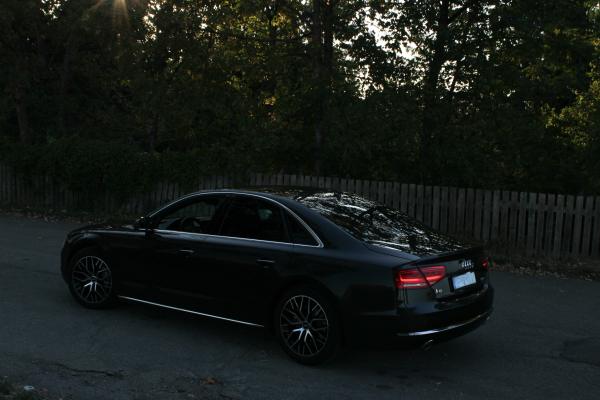 Audi am Waldrand