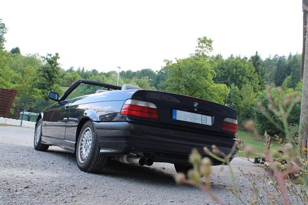 BMW Cabrio von hinten umgeben von Grün